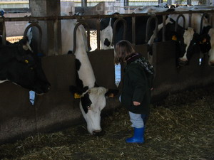 Bimbi in fattoria